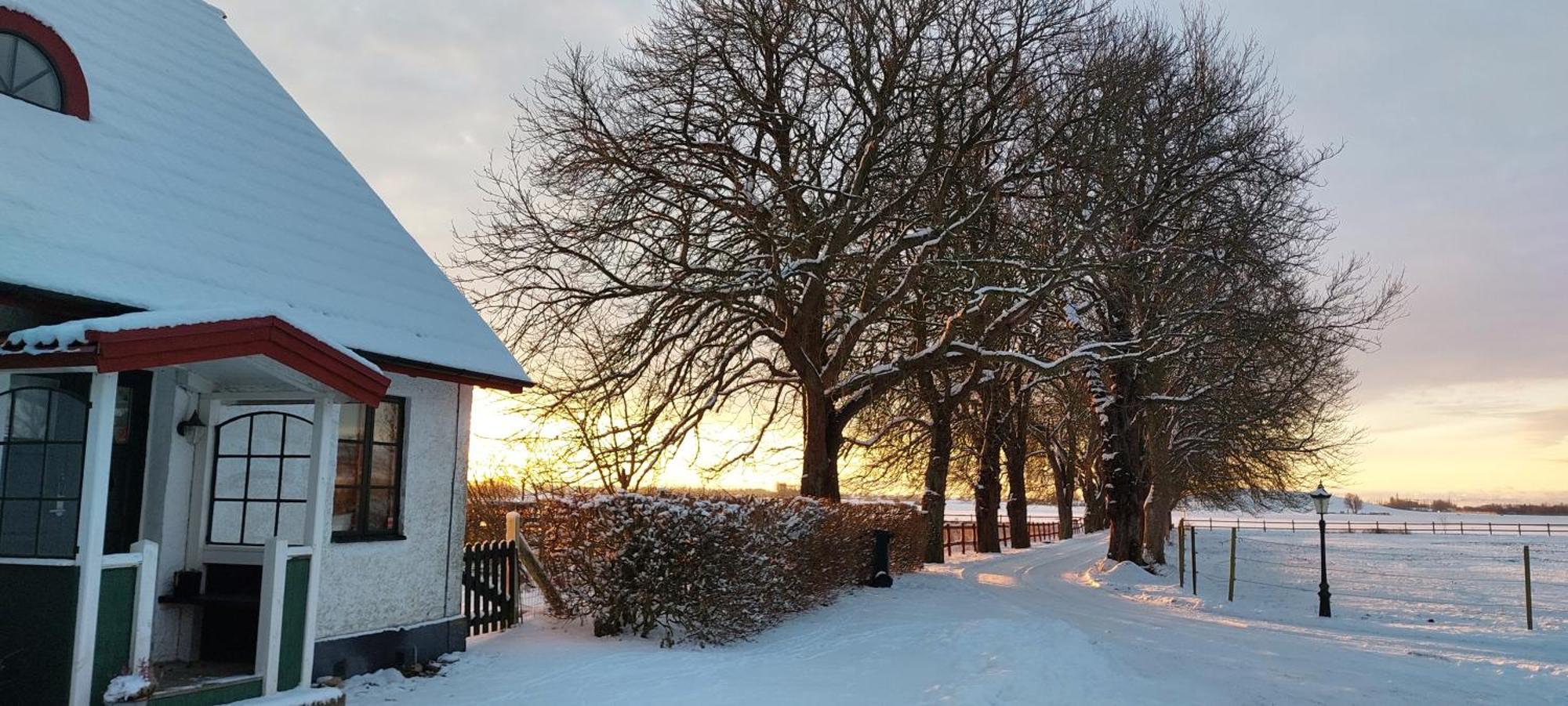 Lantligt Och Lugnt Boende Naera Natur Och Stad Svedala المظهر الخارجي الصورة