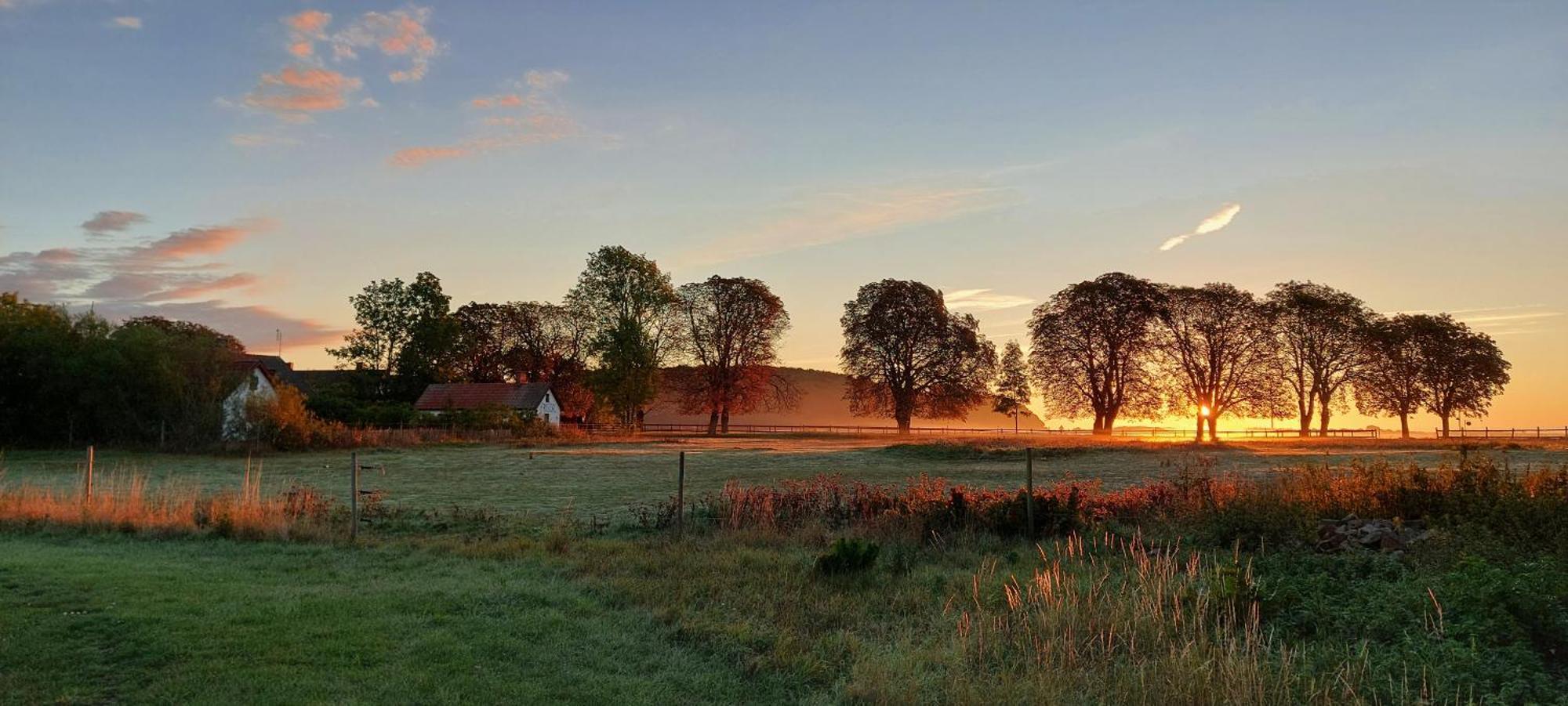 Lantligt Och Lugnt Boende Naera Natur Och Stad Svedala المظهر الخارجي الصورة