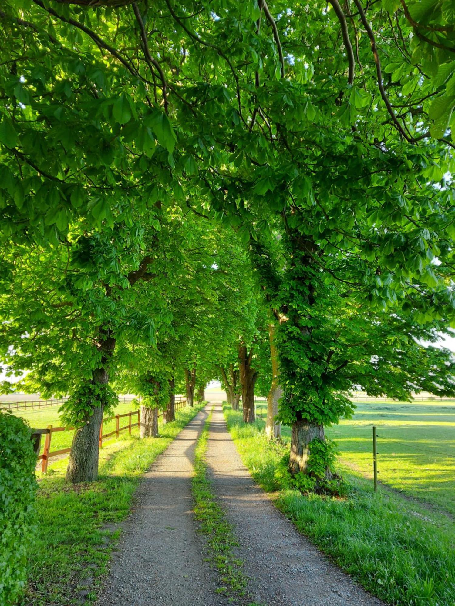 Lantligt Och Lugnt Boende Naera Natur Och Stad Svedala المظهر الخارجي الصورة