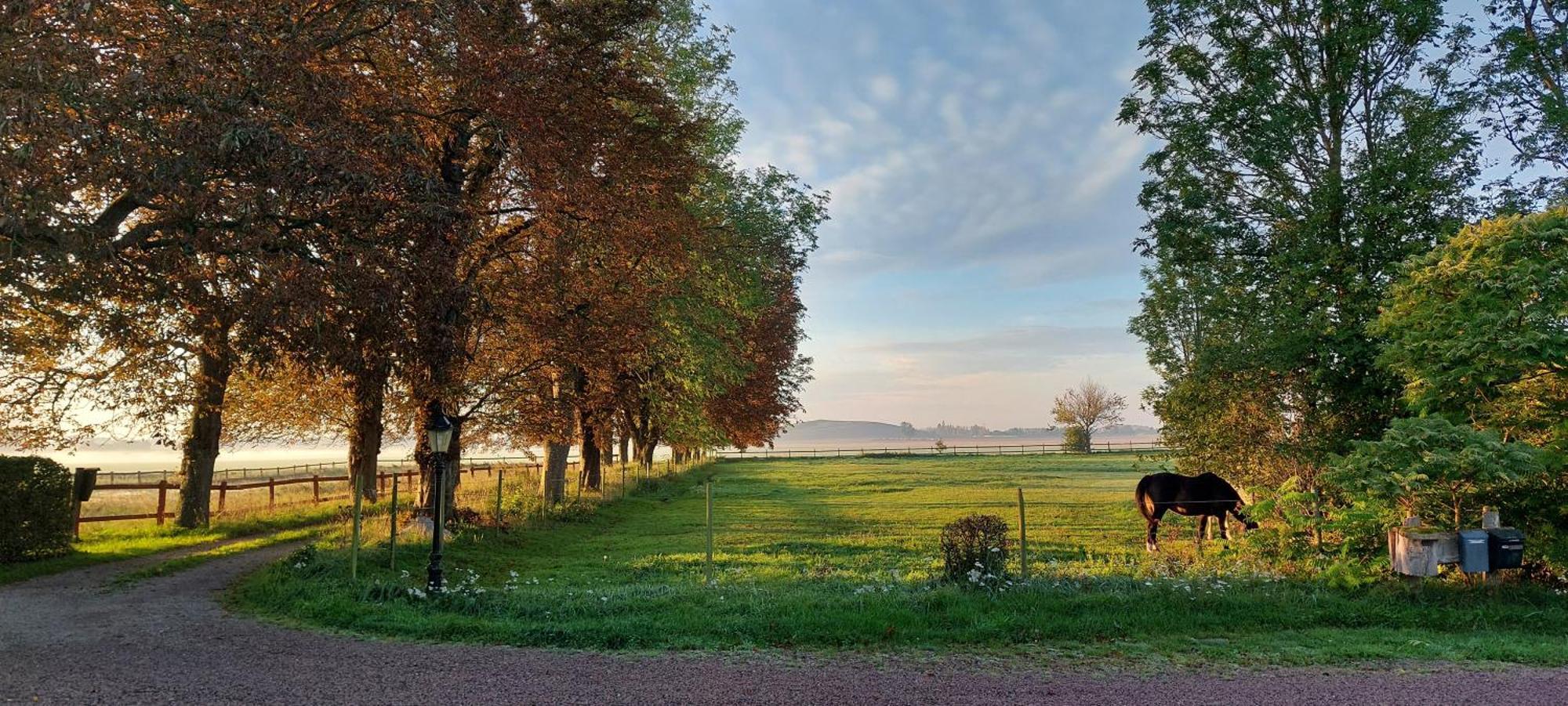 Lantligt Och Lugnt Boende Naera Natur Och Stad Svedala المظهر الخارجي الصورة
