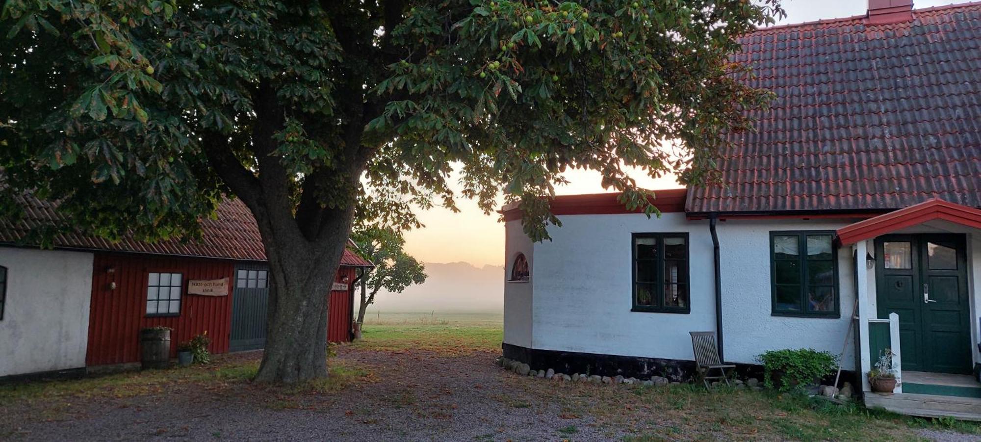 Lantligt Och Lugnt Boende Naera Natur Och Stad Svedala المظهر الخارجي الصورة