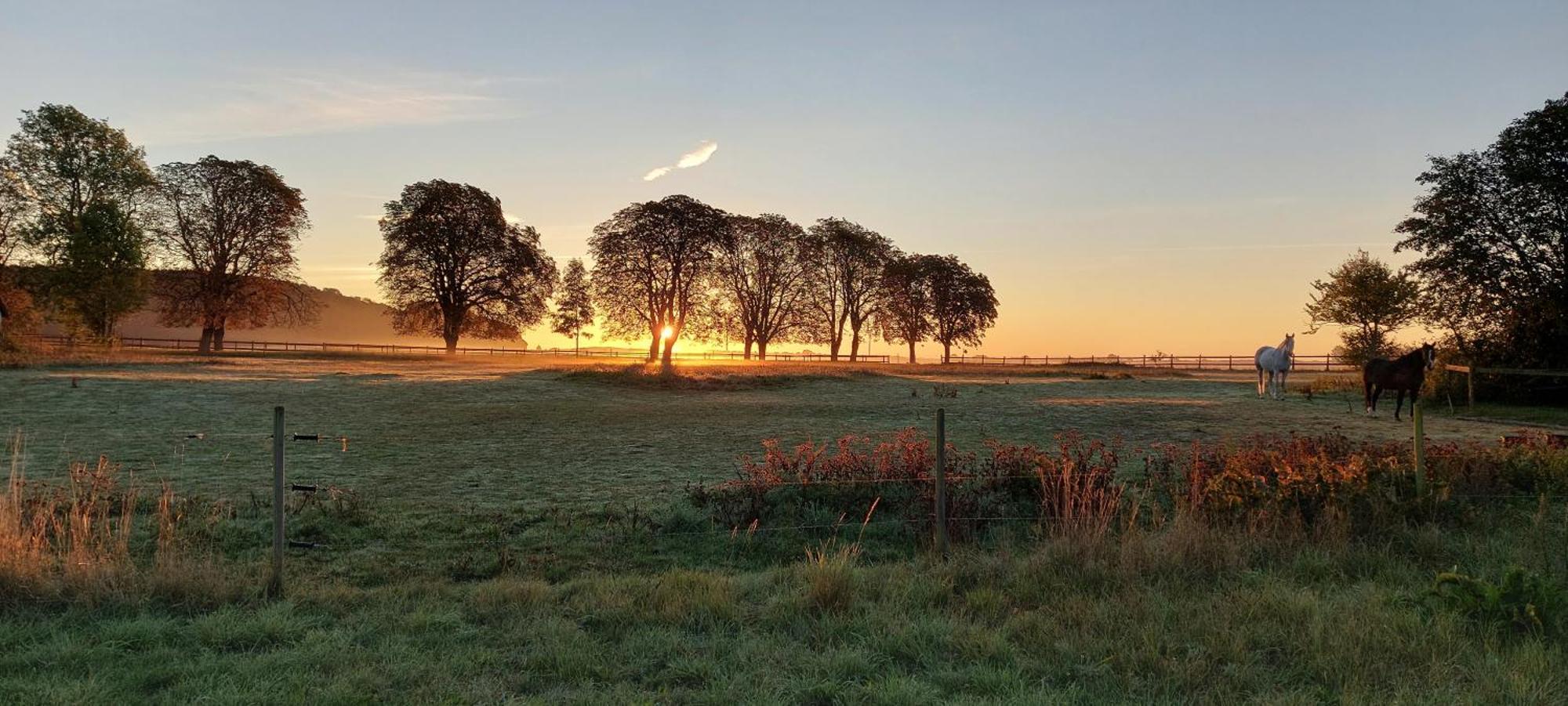 Lantligt Och Lugnt Boende Naera Natur Och Stad Svedala المظهر الخارجي الصورة