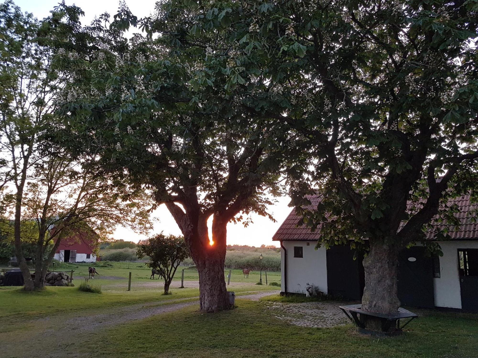 Lantligt Och Lugnt Boende Naera Natur Och Stad Svedala المظهر الخارجي الصورة