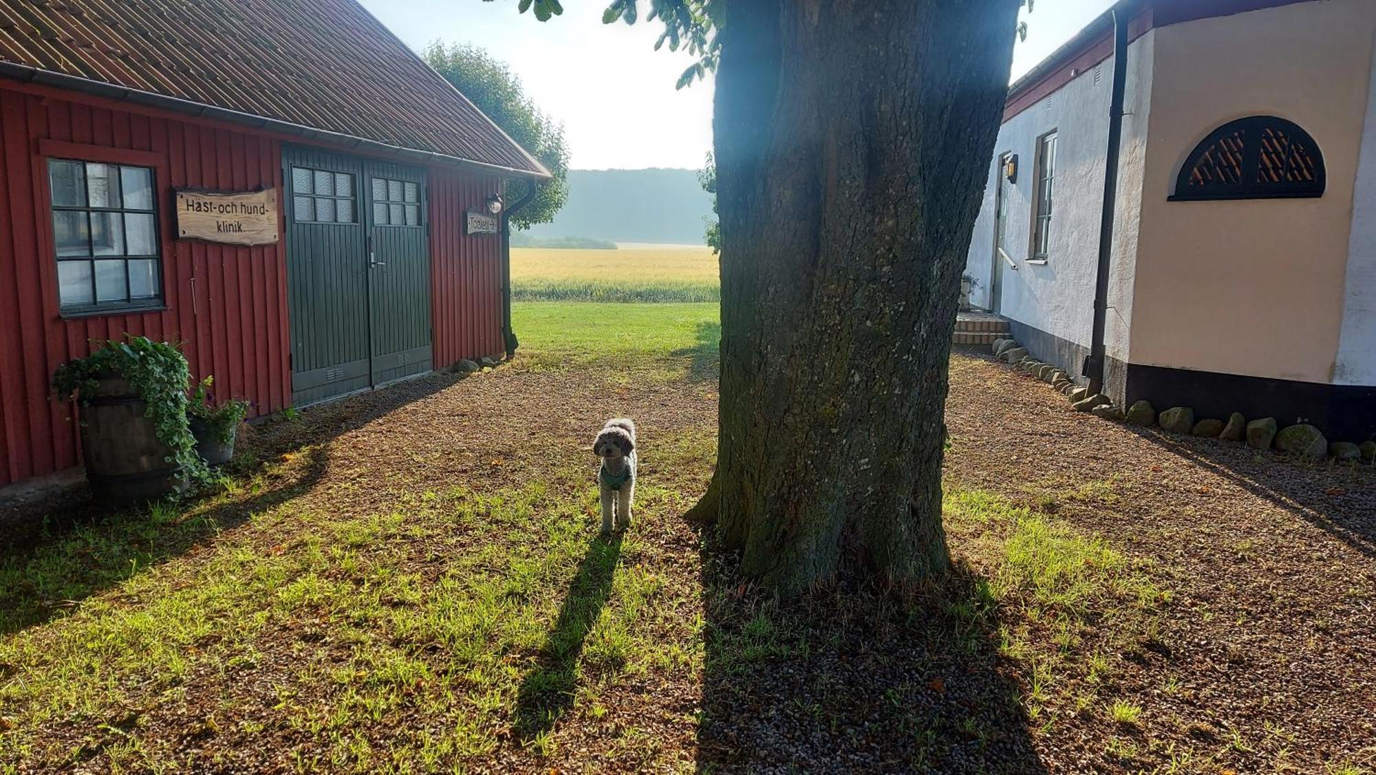 Lantligt Och Lugnt Boende Naera Natur Och Stad Svedala المظهر الخارجي الصورة