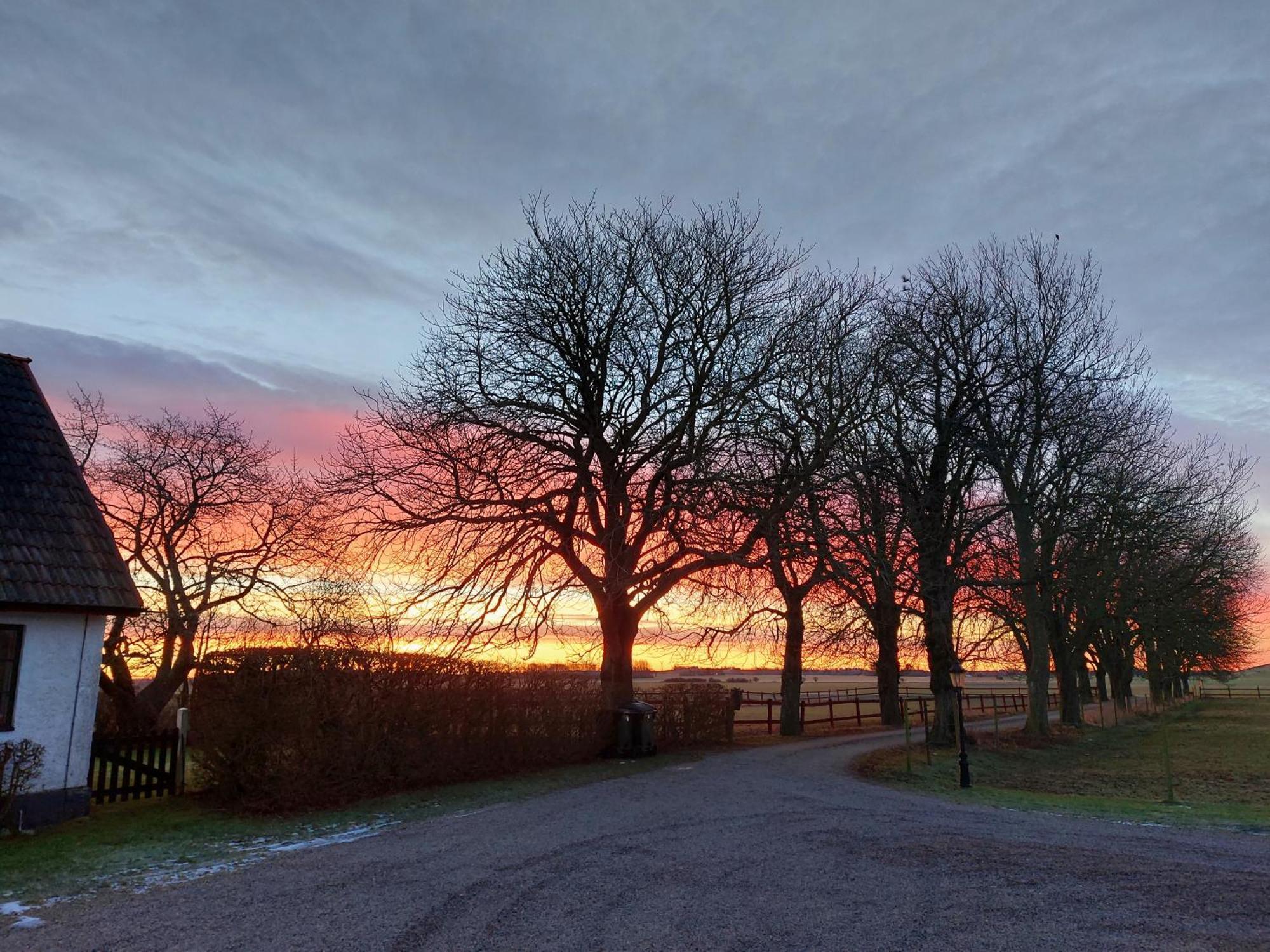 Lantligt Och Lugnt Boende Naera Natur Och Stad Svedala المظهر الخارجي الصورة