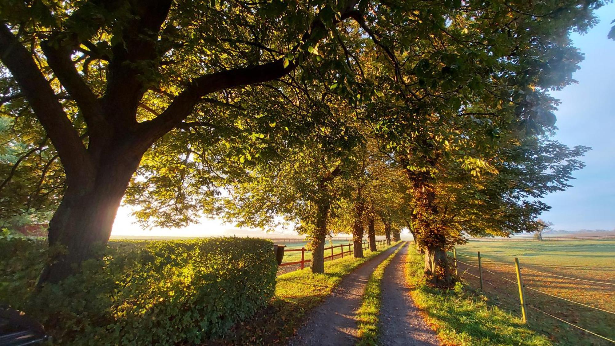 Lantligt Och Lugnt Boende Naera Natur Och Stad Svedala المظهر الخارجي الصورة